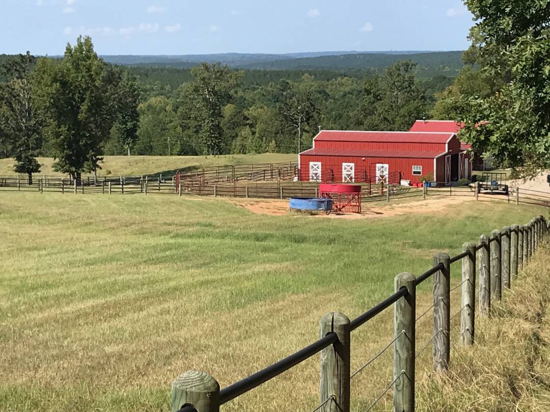 158 Acre Estate Home Paradise Heath Springs, Lancaster County, South Carolina