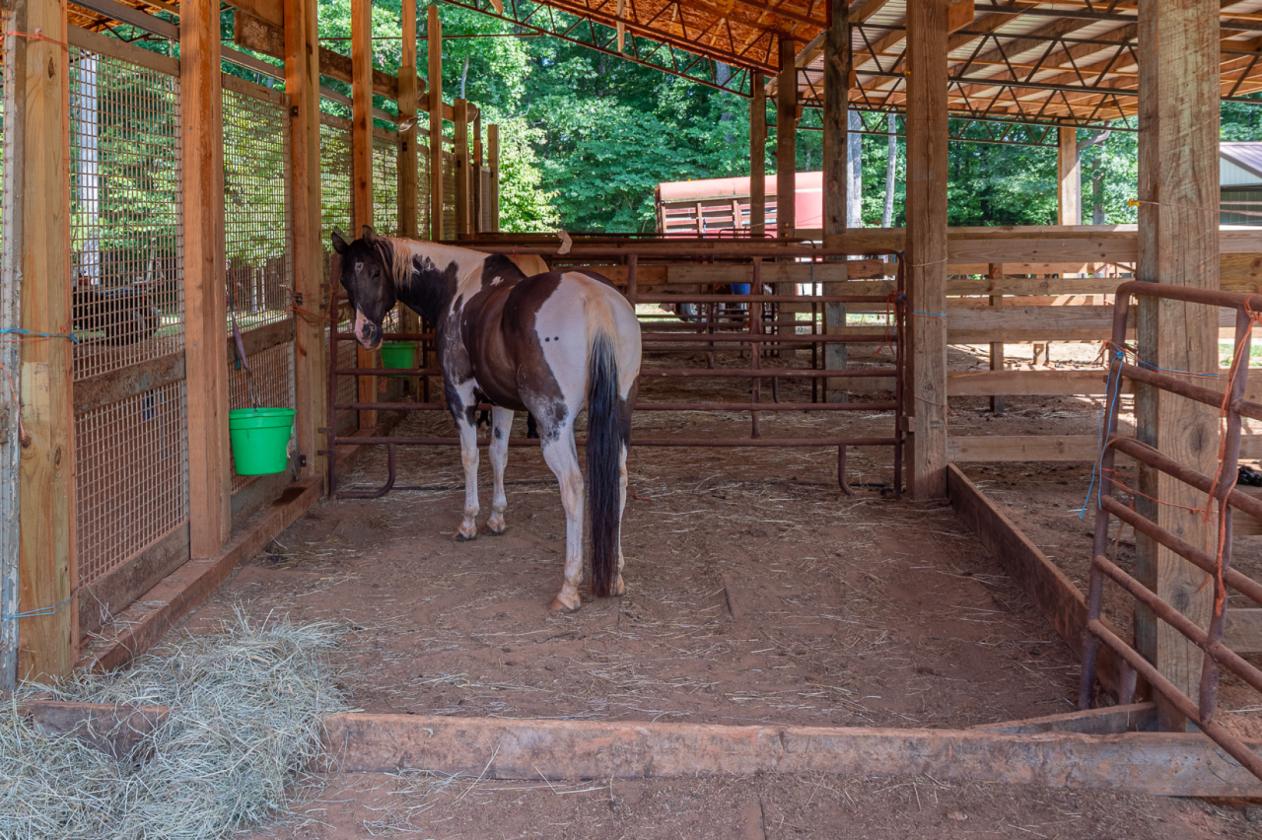 Must SEE Equestrian Property on 25+ acres - photo 22