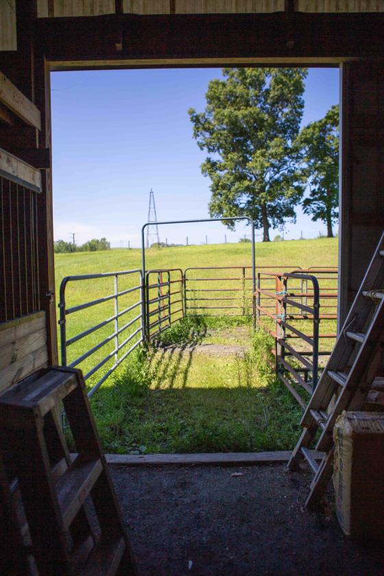 16 acre Equestrian property - photo 27