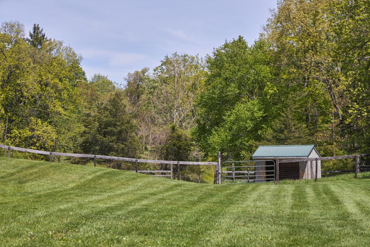 WhistleWood Farm - photo 20