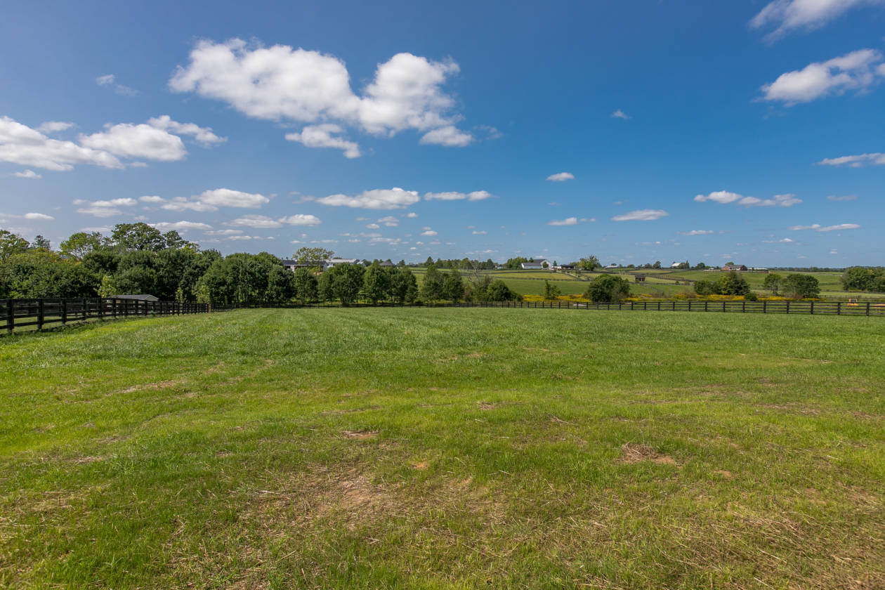 Horse farm in the heart of the Bluegrass! Paris, Bourbon County