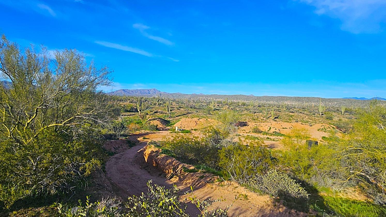 ACREAGE- NATIONAL FOREST FRONTAGE, PRIVATE WELL - photo 10