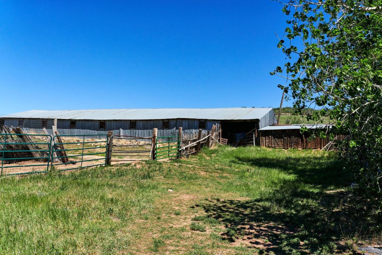 PRINCE (SODERGREEN) RANCH - photo 3