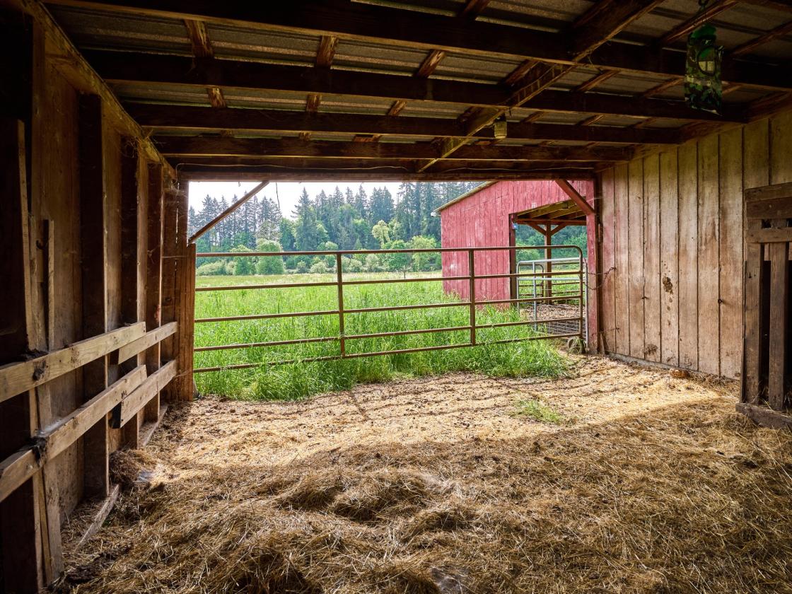 Horse Property in Aurora/Canby Area Deadend Road - photo 10