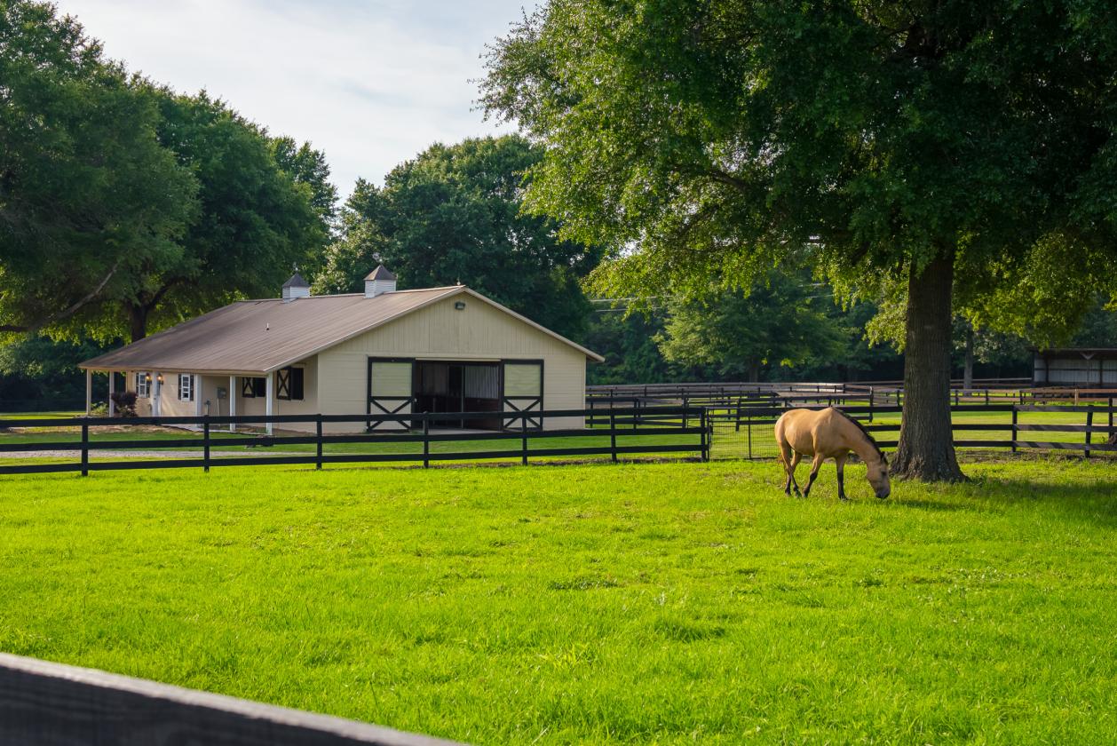 Oak Haven Farm - 302 Equestrian Corridor - photo 10