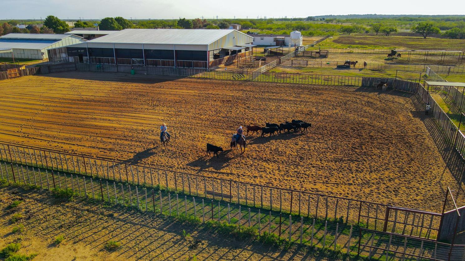 Premiere Cutting Horse Facility in Taylor County - photo 25