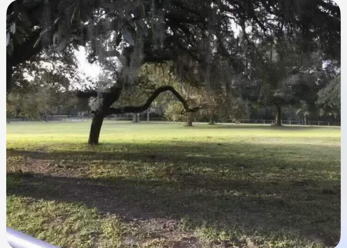 5 beautiful Acres in an equestrian community - photo 13