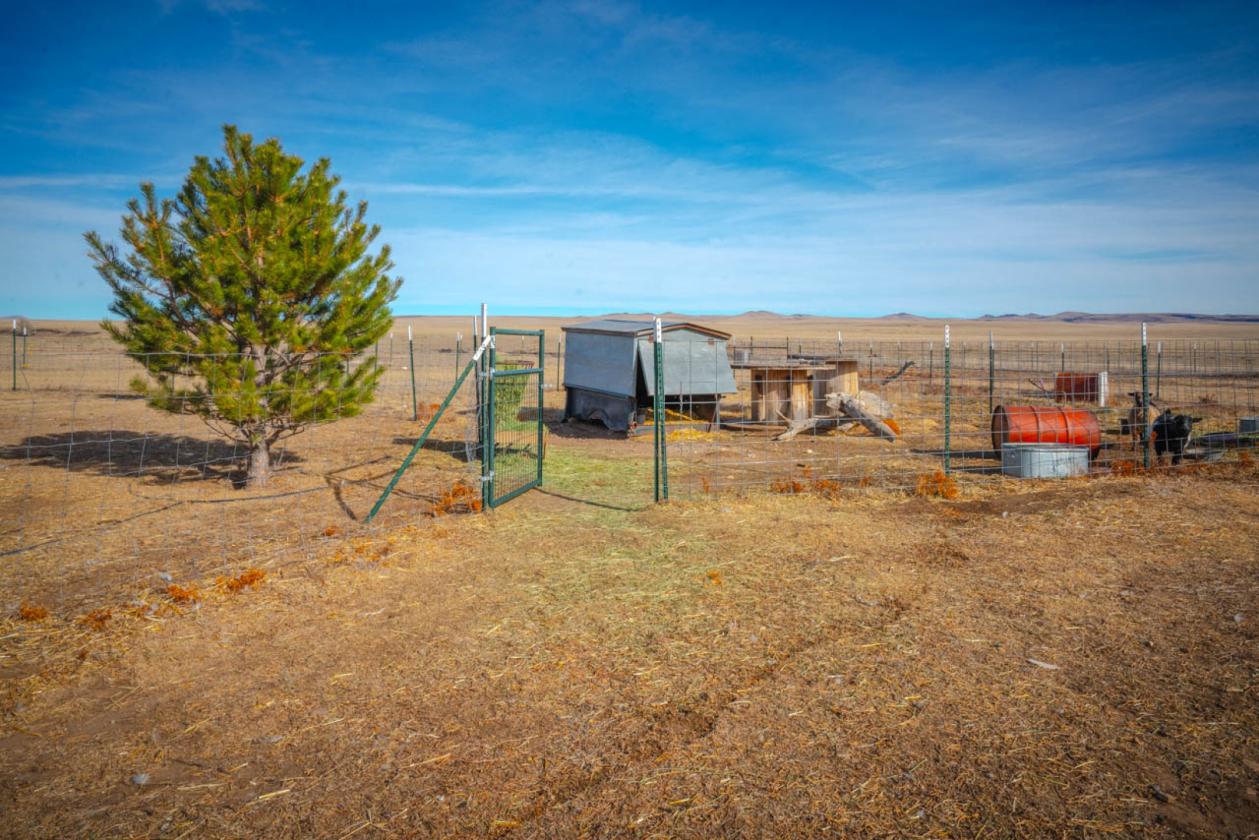 Horse Ranch: 363 Acres, Water & State Land Access - photo 30