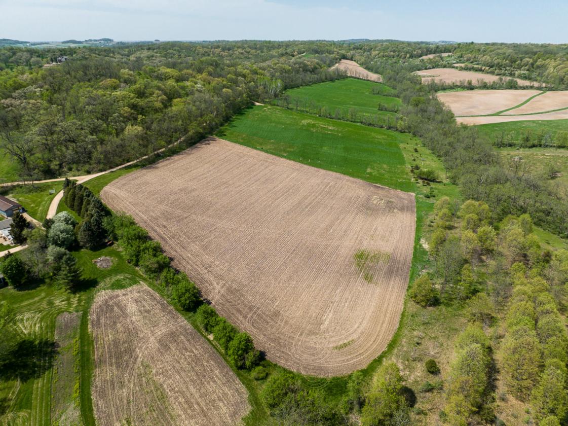 27 Acre Multi-generational Family Compound - photo 5