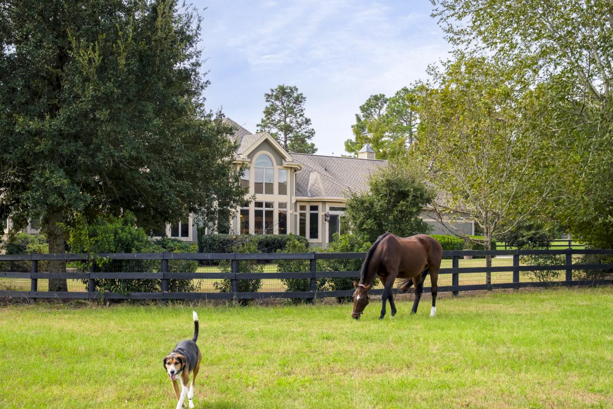 Equestrian Estate with Koi Sanctuary - photo 28