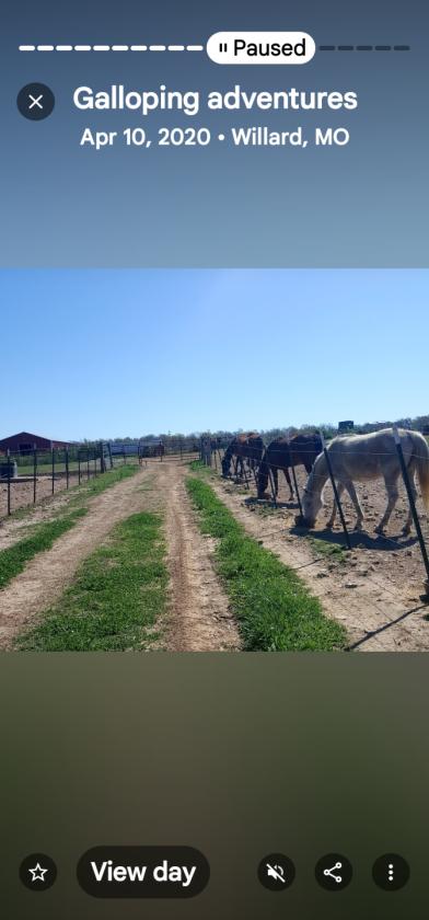 Investment opportunity/Equestrian Facility - photo 10