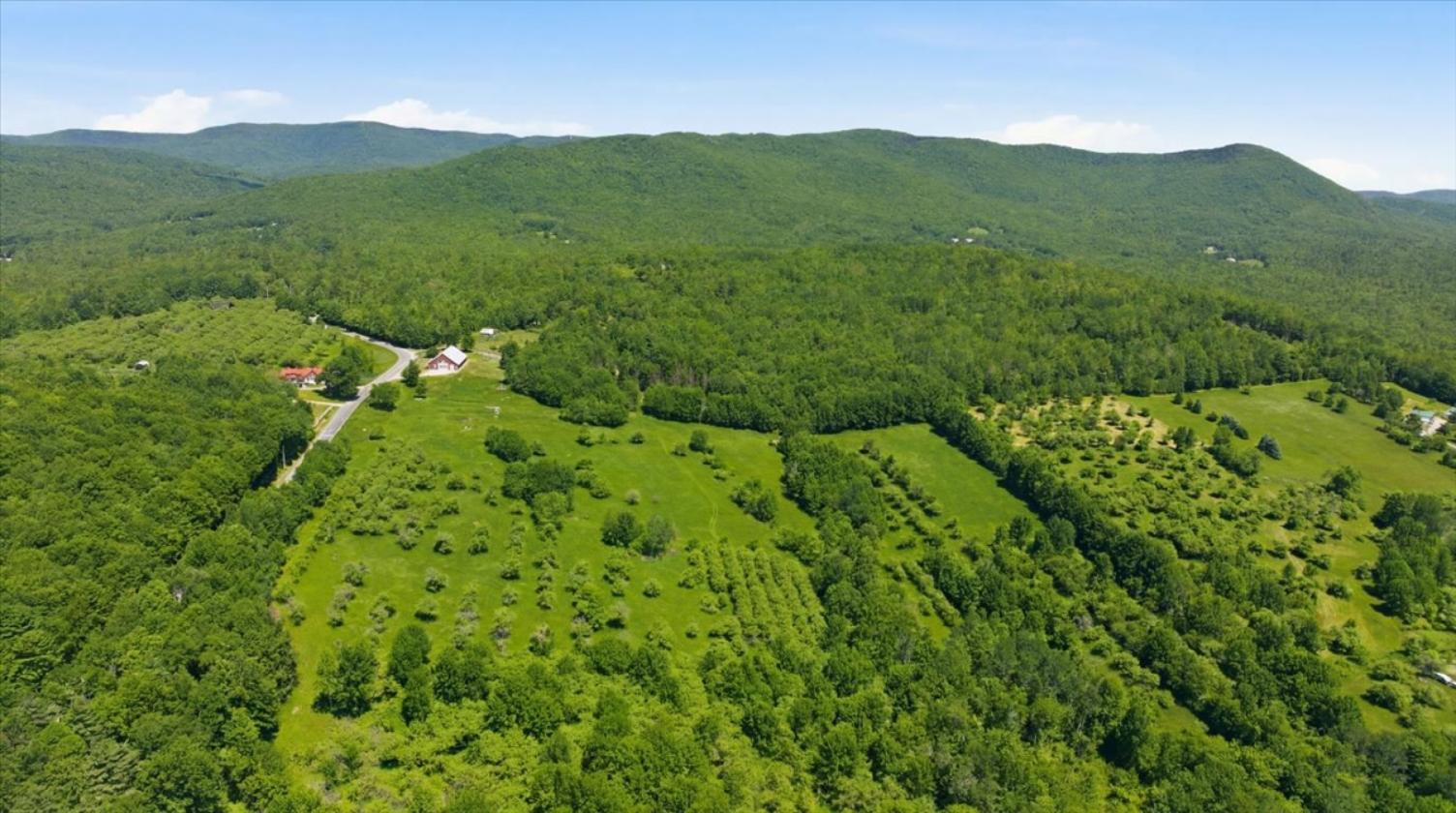 Horse & Cattle Property With Views! - photo 20