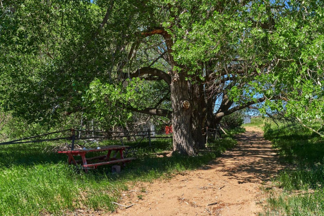 PRINCE (SODERGREEN) RANCH - photo 1