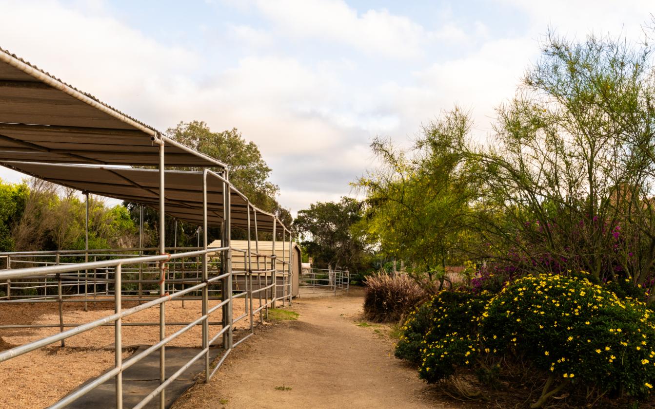 Rancho Santa Fe Lifestyle. County Freedom. No HOA. - photo 9