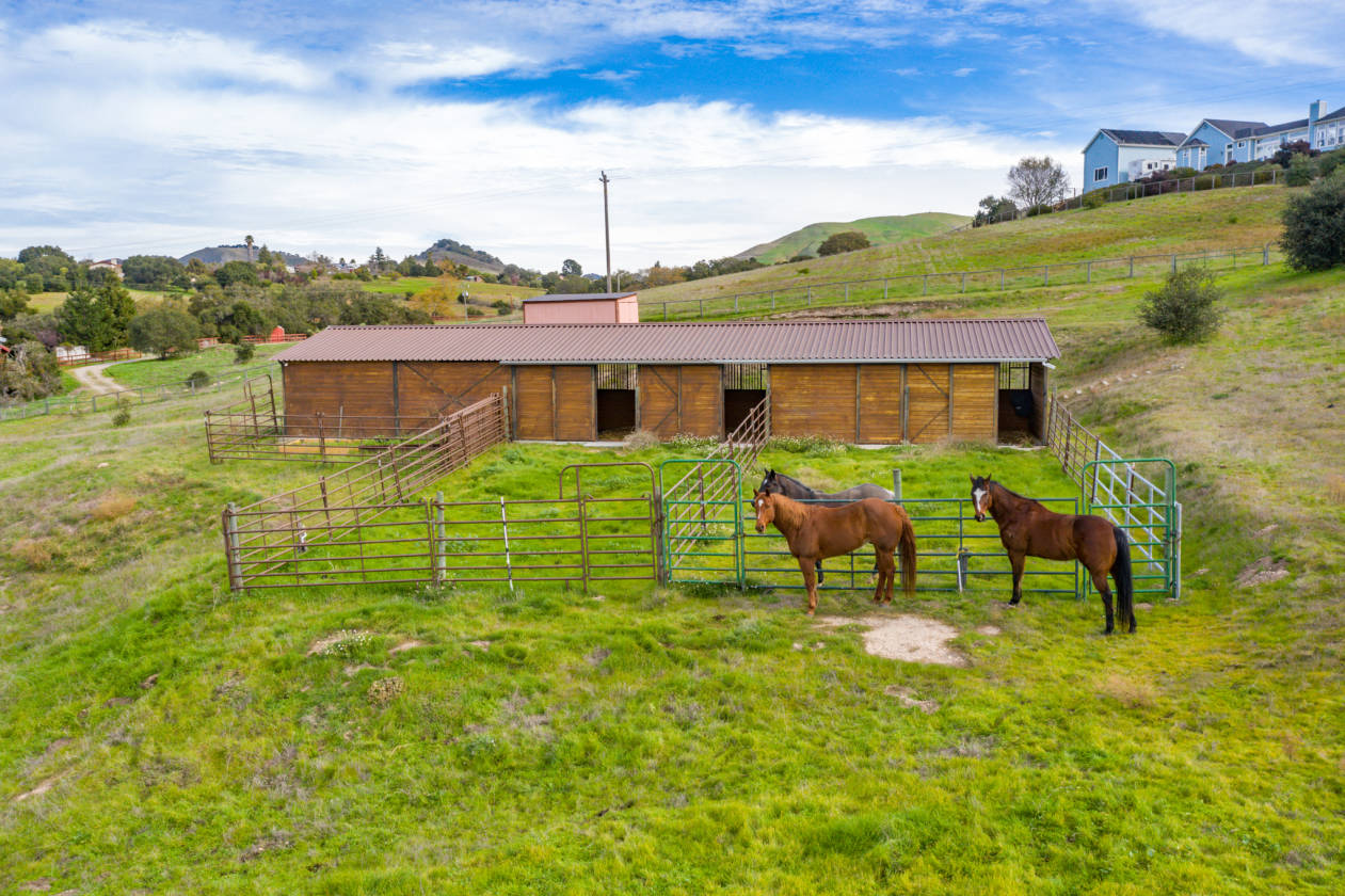 Central Coast, CA Ocean View Horse Ranch Nipomo, San Luis Obispo