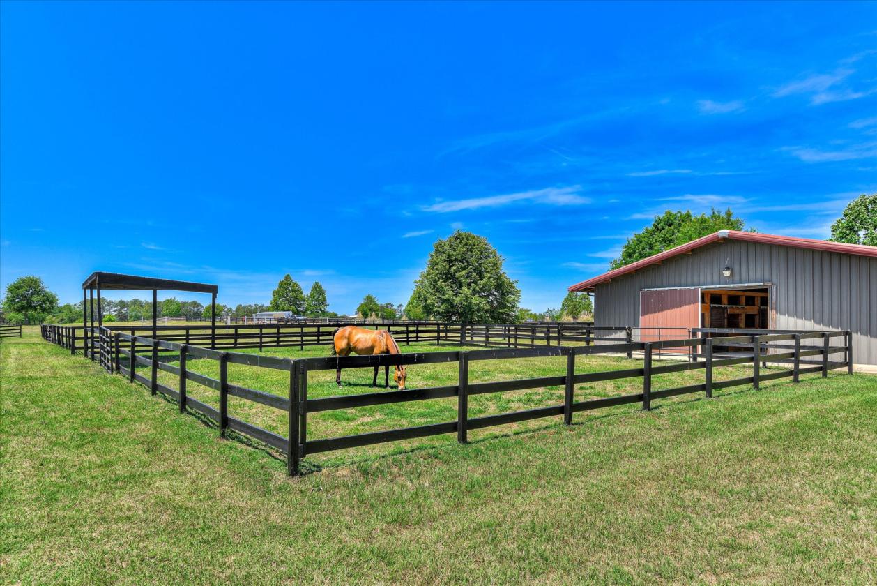 Exceptional 18.25-acre equestrian property - photo 15