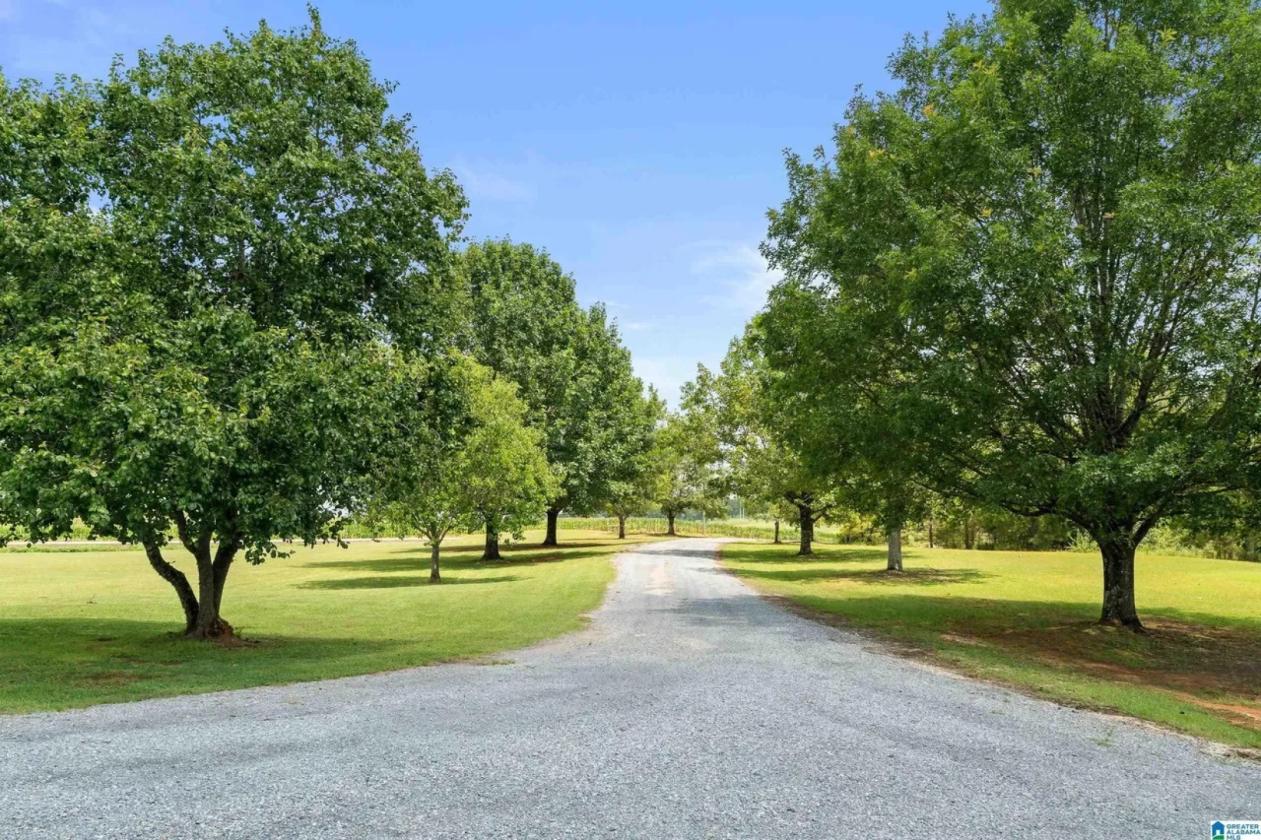 SIGNATURE 14-ACRE ESTATE - photo 30