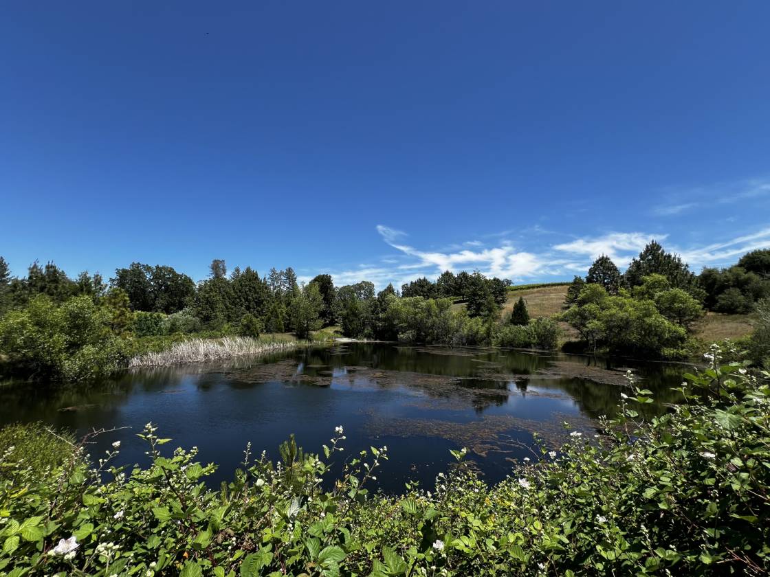 Horse Property for sale.