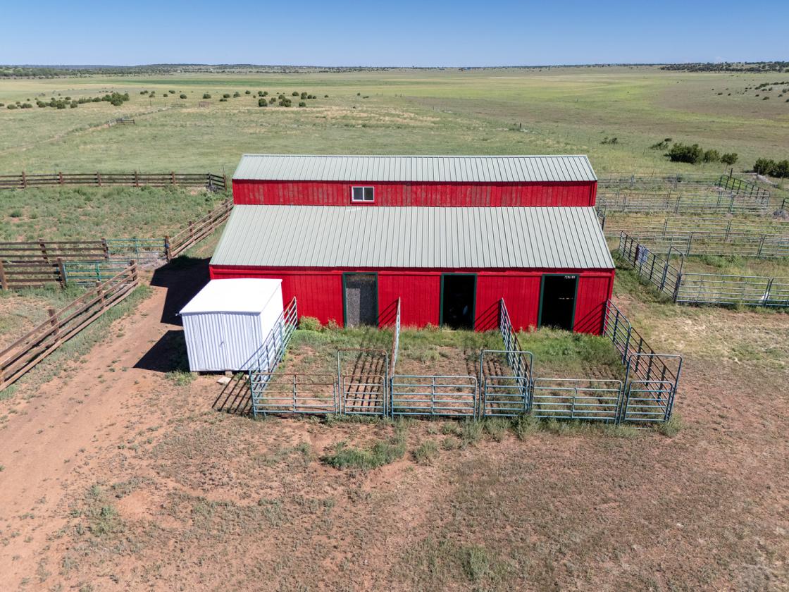 36 Acre Horse Ranch in the Wt. Mtns. of ARIZONA - photo 17