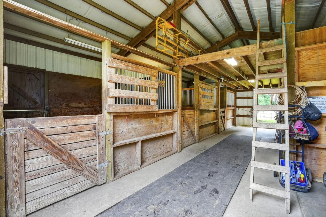Huge Arena, Ample Pasture & Spacious Home - photo 5