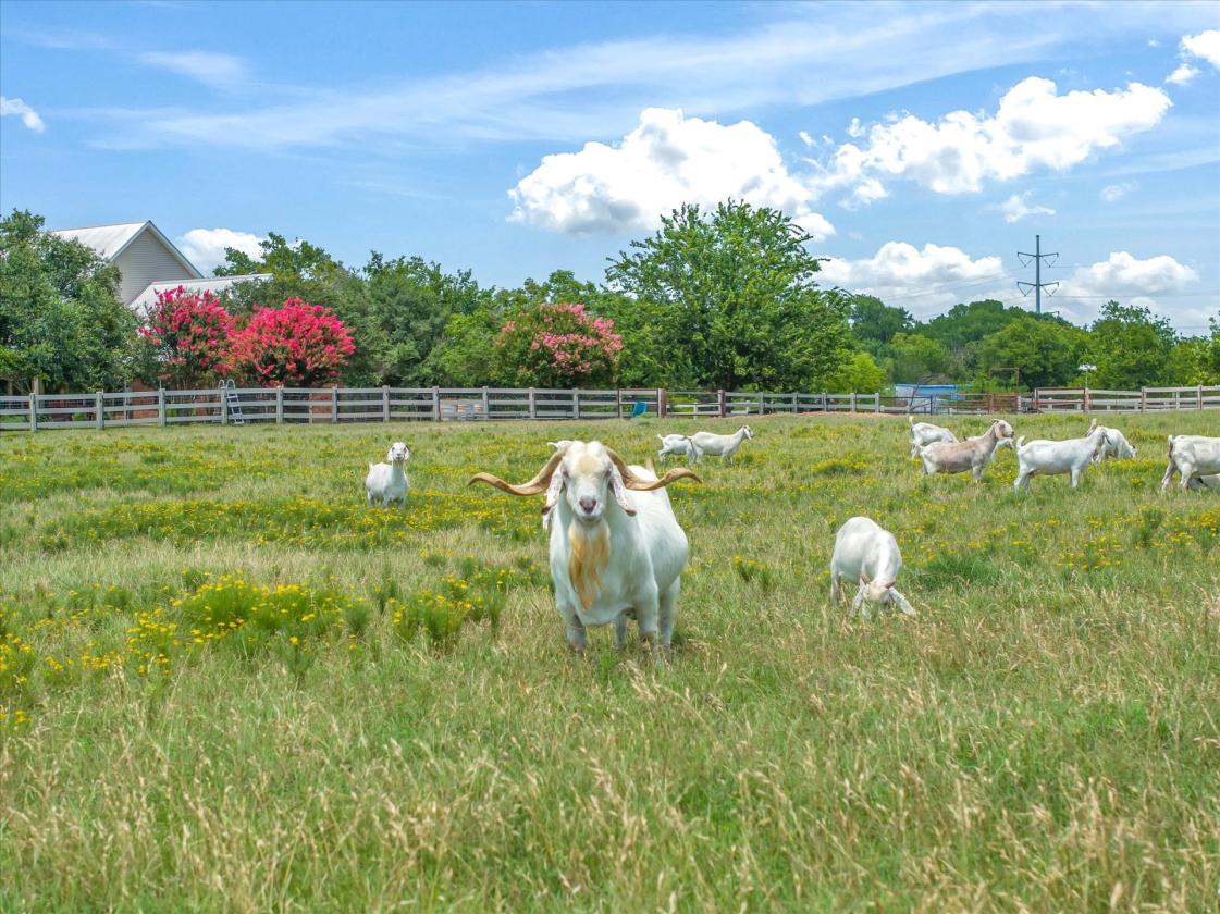 Exceptional 15-Acre Equestrian Estate - photo 20