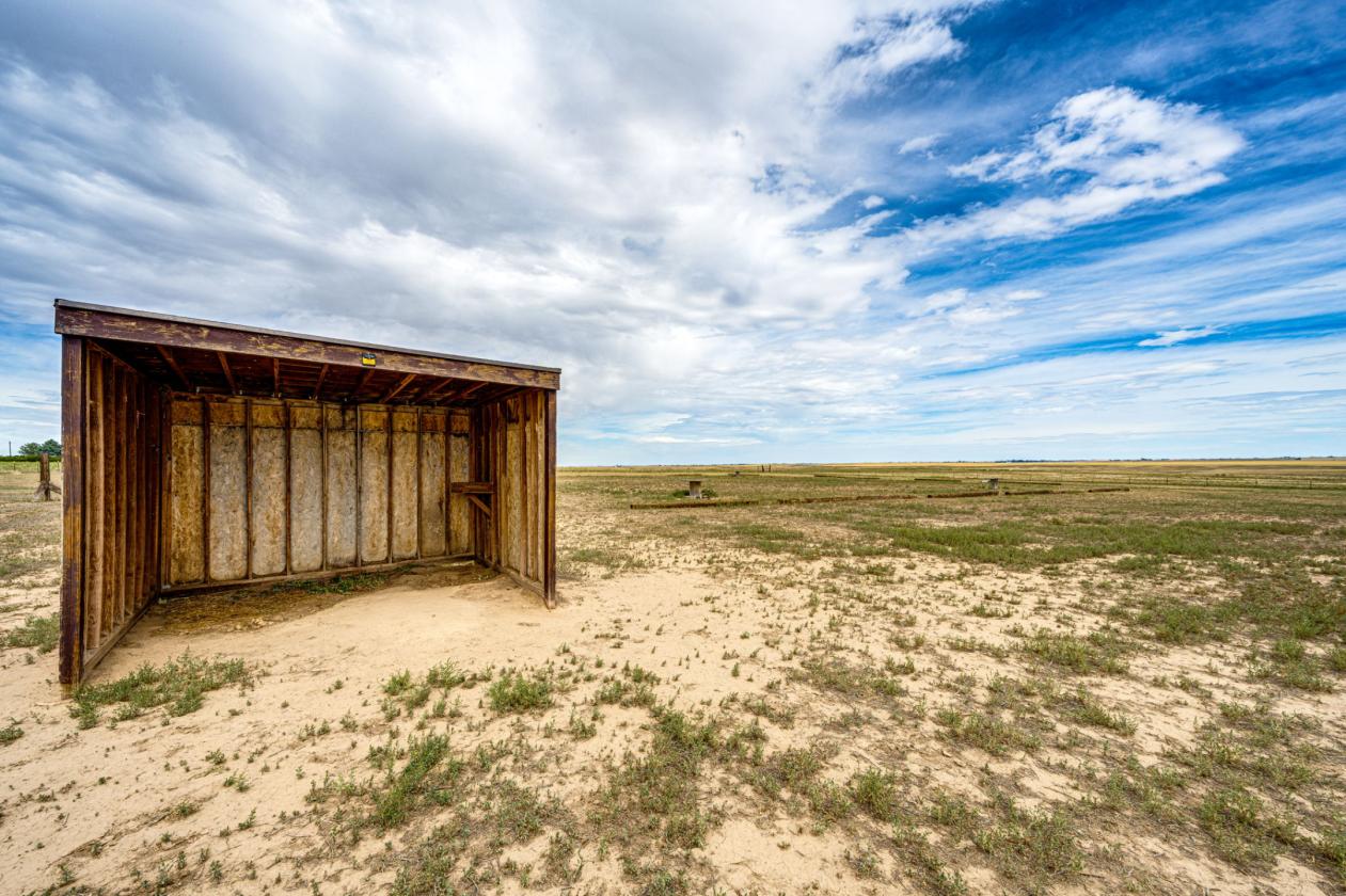 Horse Property & Multi-Generational living! - photo 22