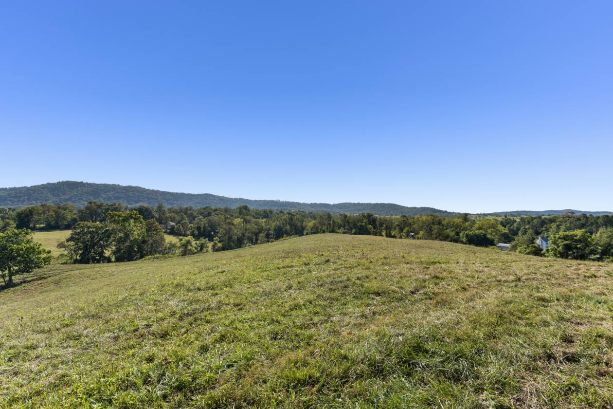 Fox Hill - in Virginia's Hunt Country - photo 18