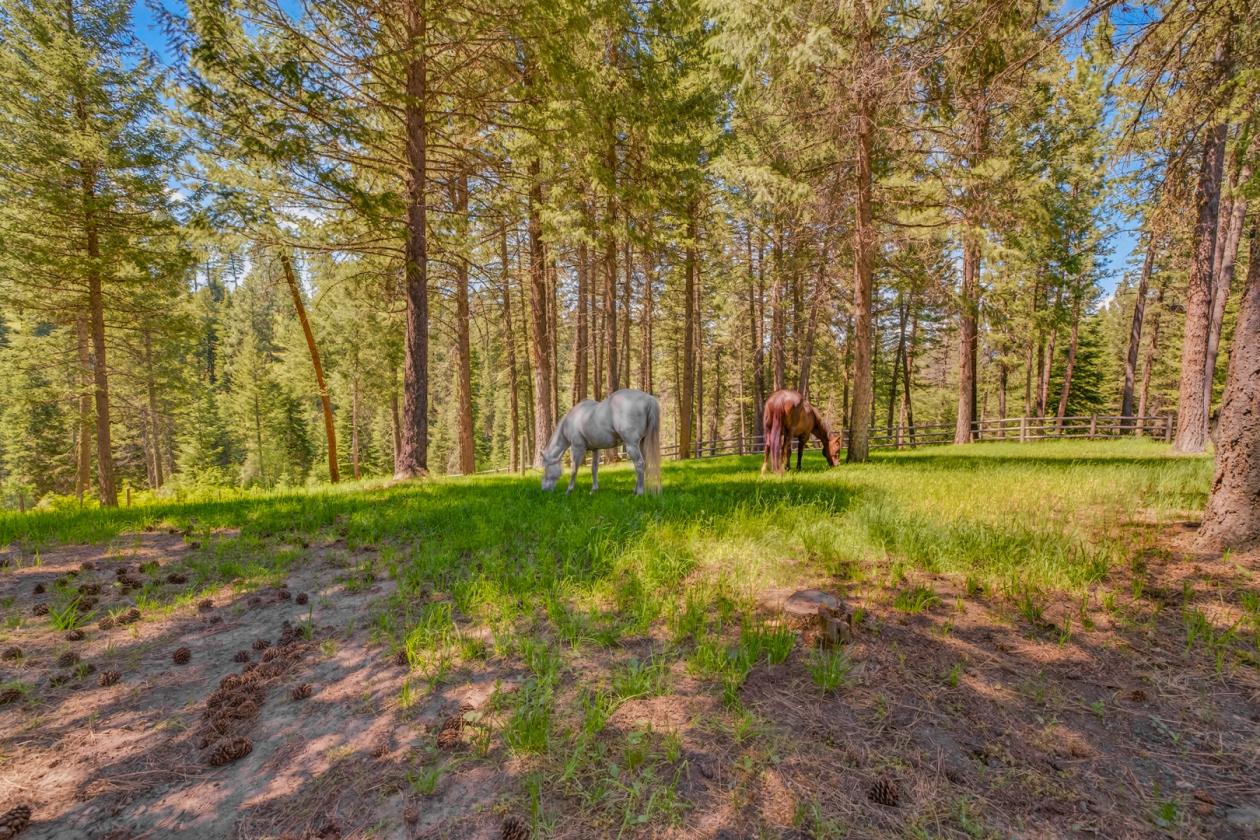 Luxury 25-acre Horse Property - photo 29