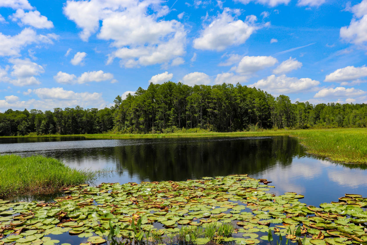 Rooks Ranch 2,193 Acres +\ Operating Cattle Ranch, Row Crop
