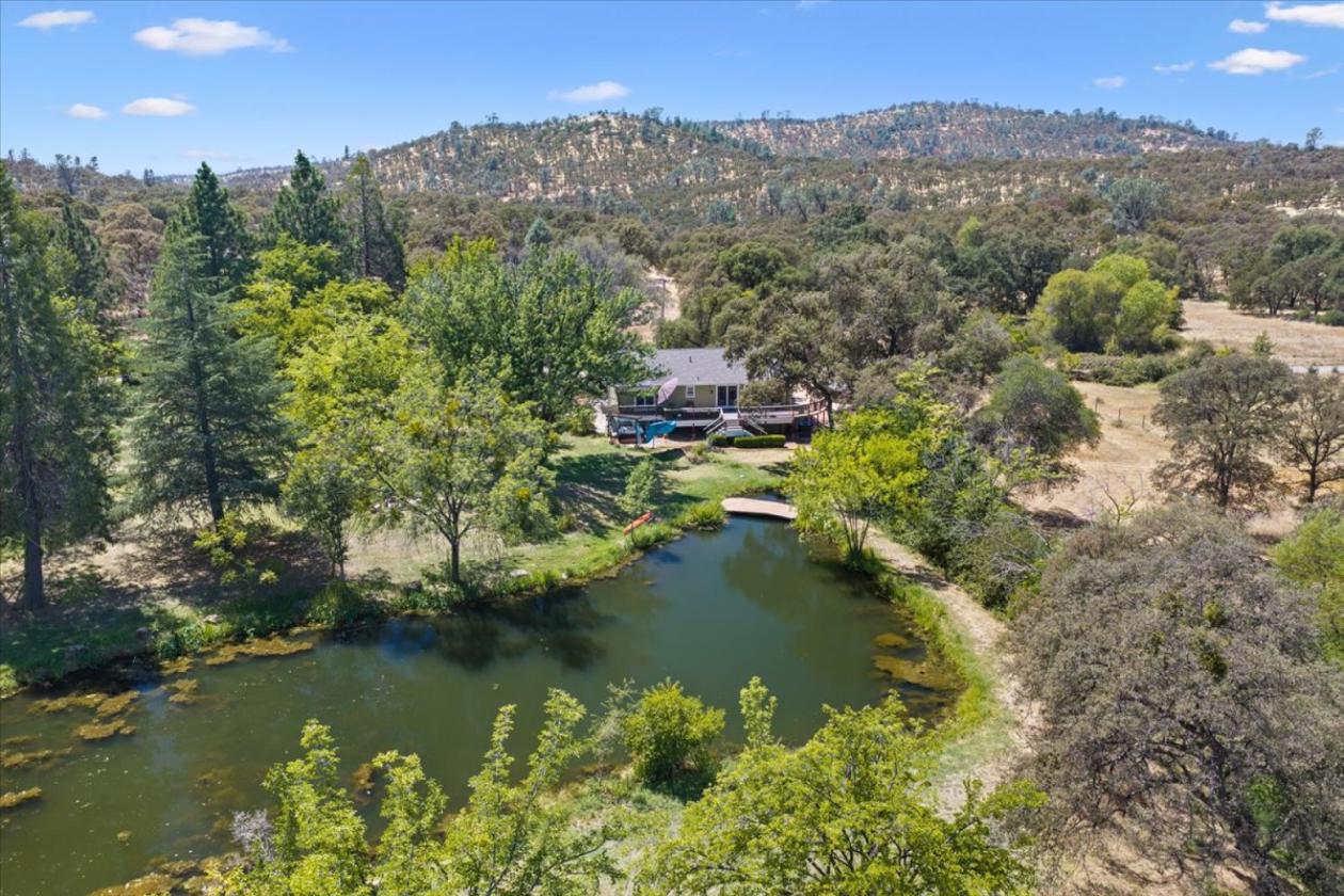 Professional Rodeo setup and Gorgeous House - photo 6