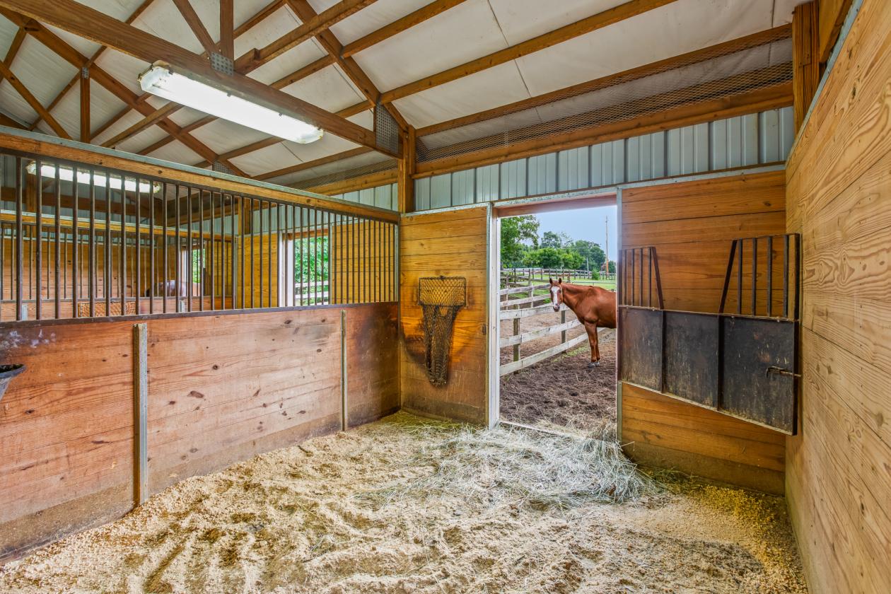 Beautiful mini-farm on 8.46+/- private acres - photo 19
