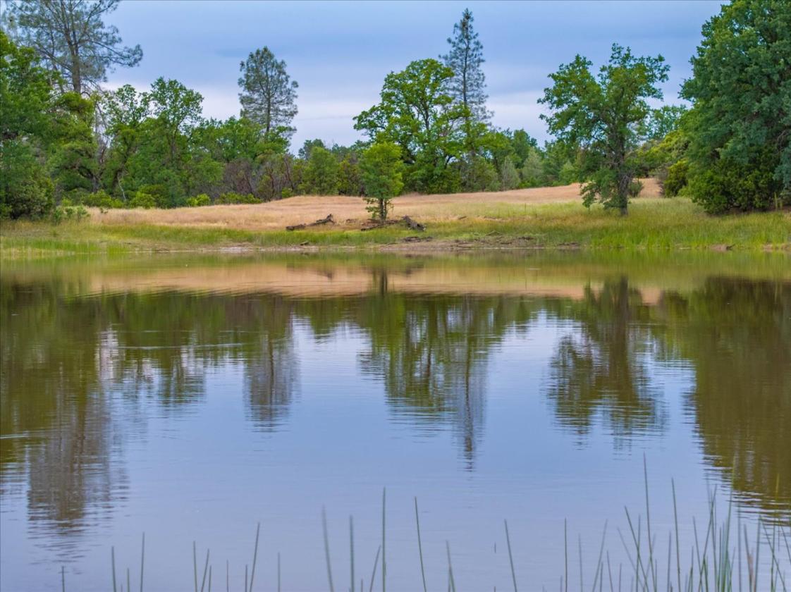 480 Acre Litte Crane Creek Ranch - photo 14