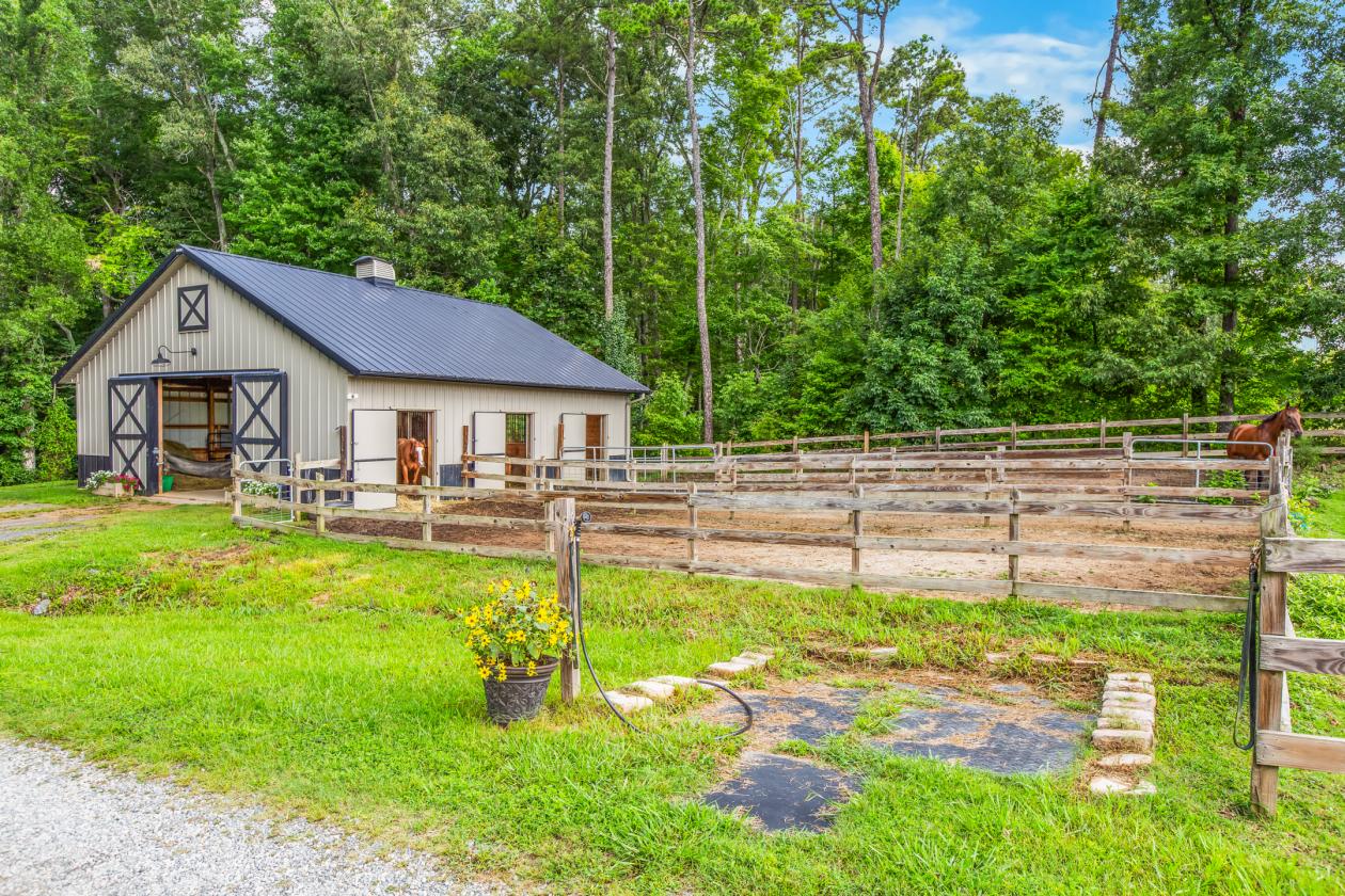 Beautiful mini-farm on 8.46+/- private acres - photo 9