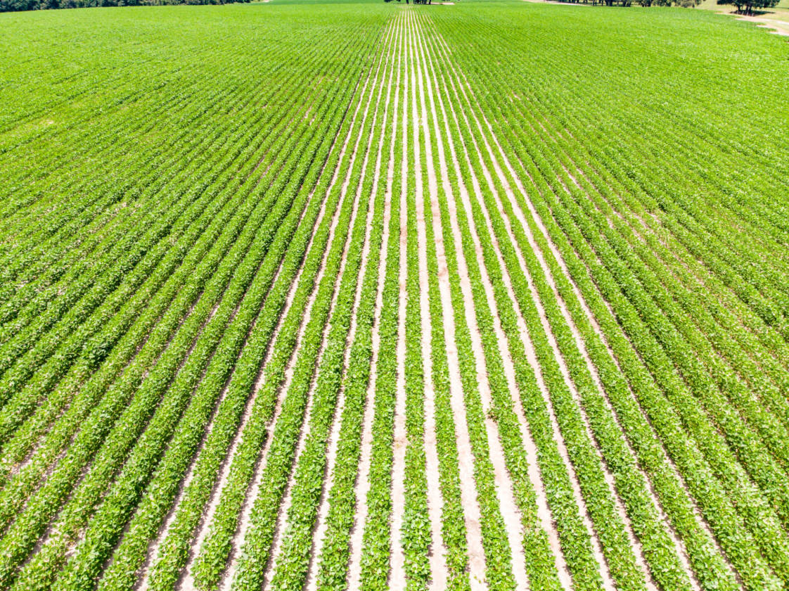 Rooks Ranch 2,193 Acres +\ Operating Cattle Ranch, Row Crop