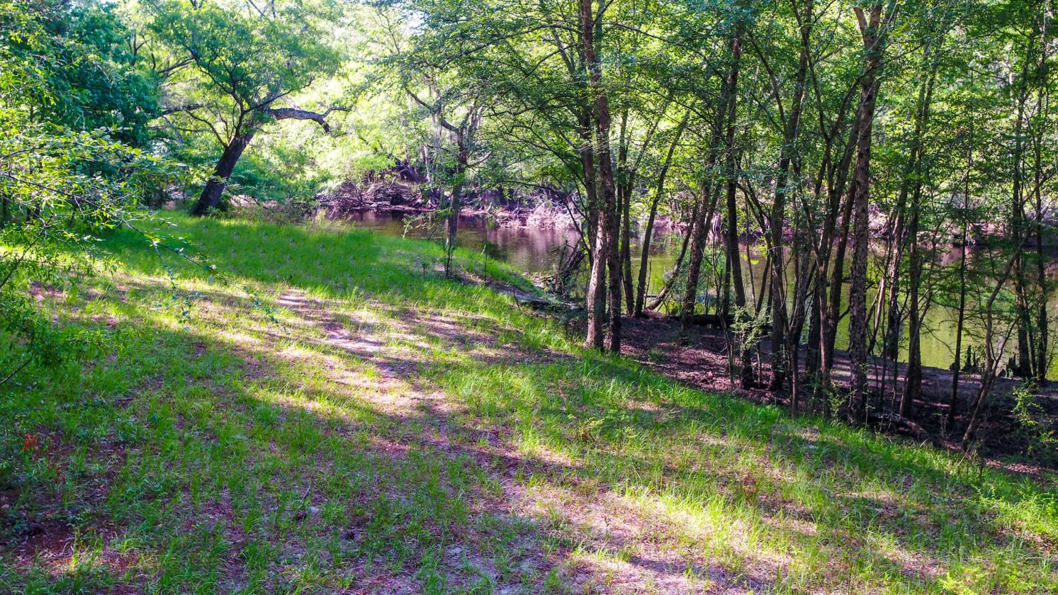 Spectacular Views! 174 Acres for Sale In Hilliard, FL! Trail