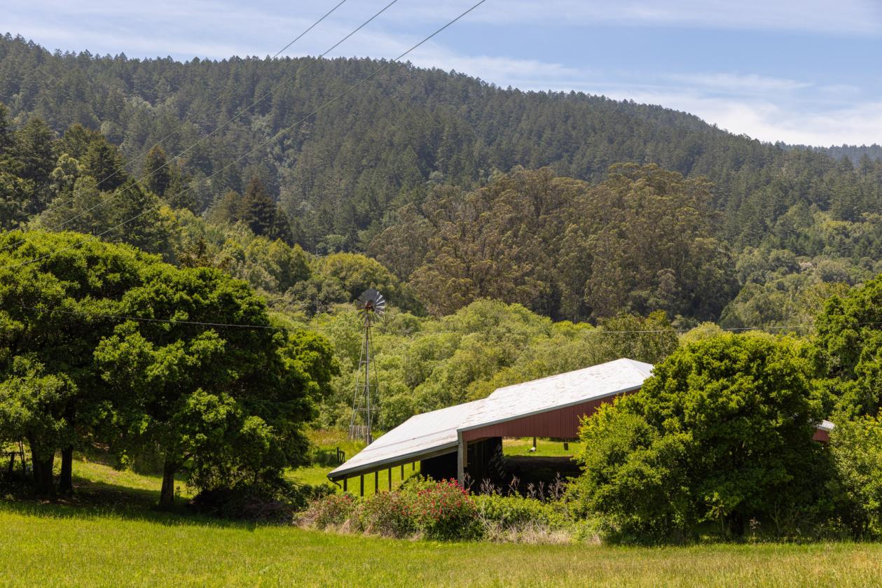 California Coastal - Dogtown Farmhouse - photo 27