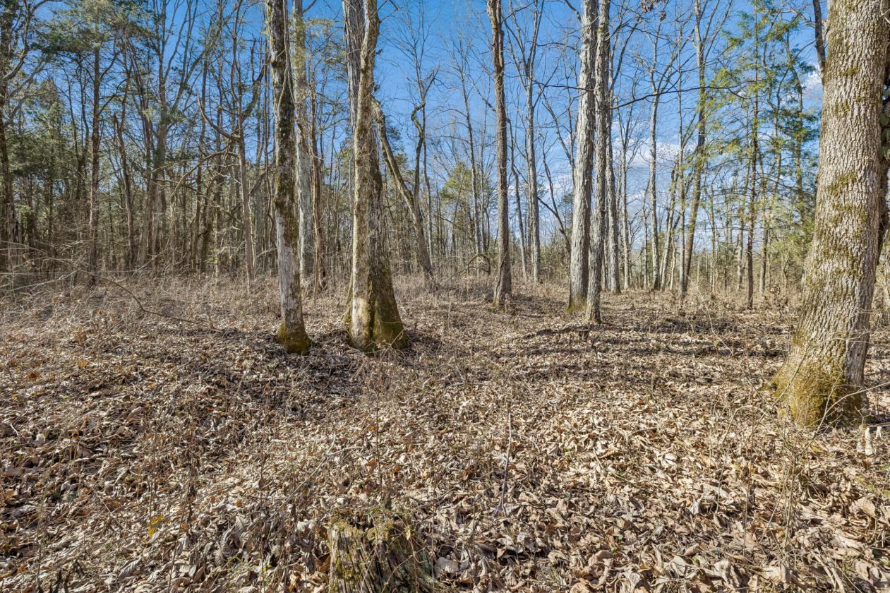 175 Gorgeous Acres - photo 20