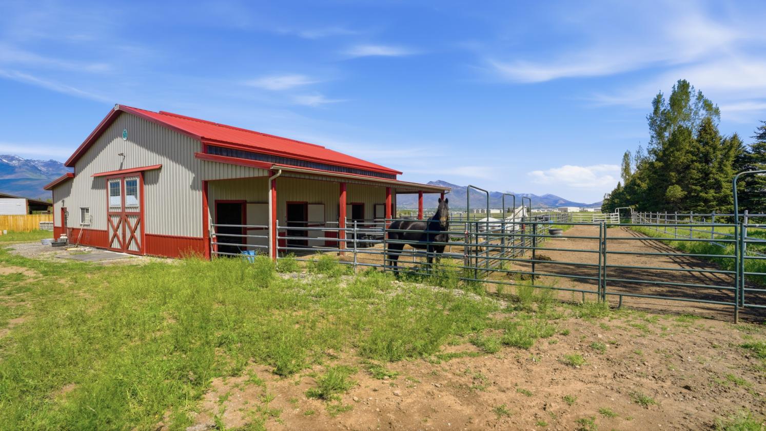 Amazing horse property - photo 4