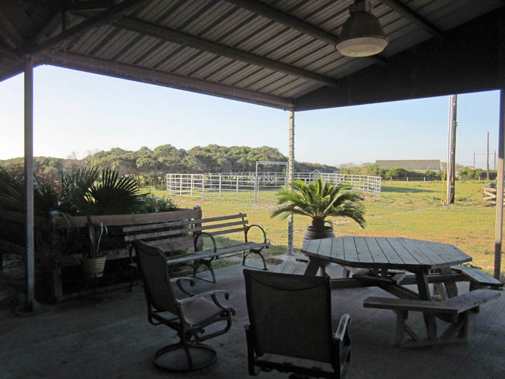 80+/ Acres Horse Farm with Barndominium Corpus Christi, Nueces County, Texas