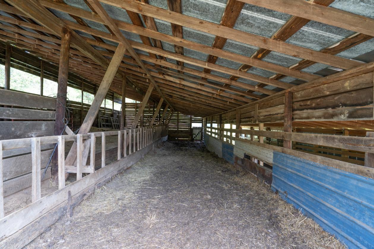 Large Equestrian Estate-Pasture, Mountains, Creeks - photo 28