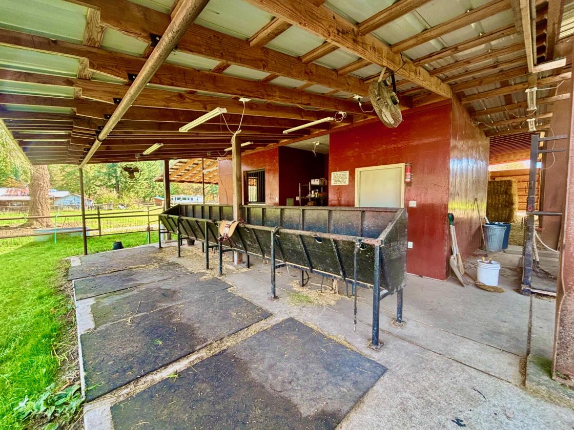 UNIQUE EQUESTRIAN AND ORGANIC FARM PROPERTY - photo 14