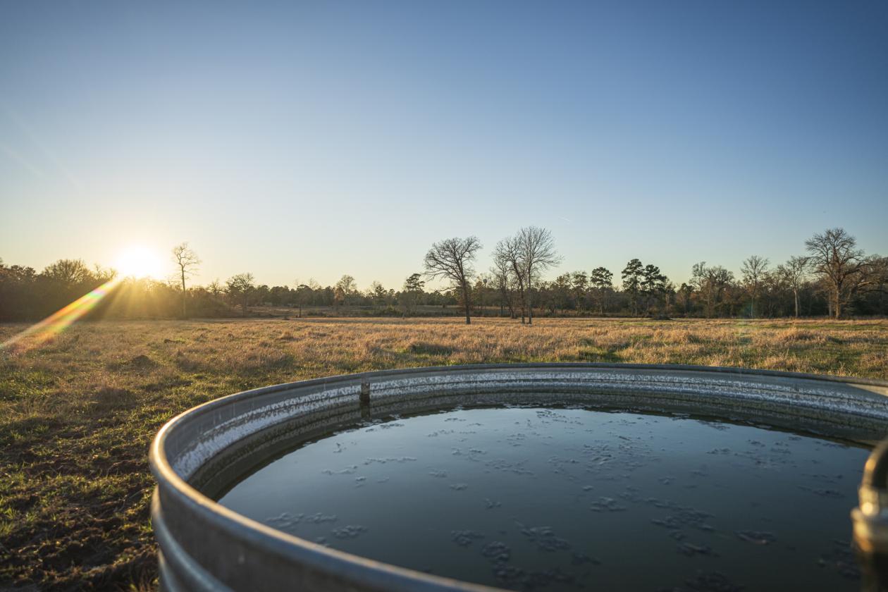 Huntsville 50 Ranch - photo 18