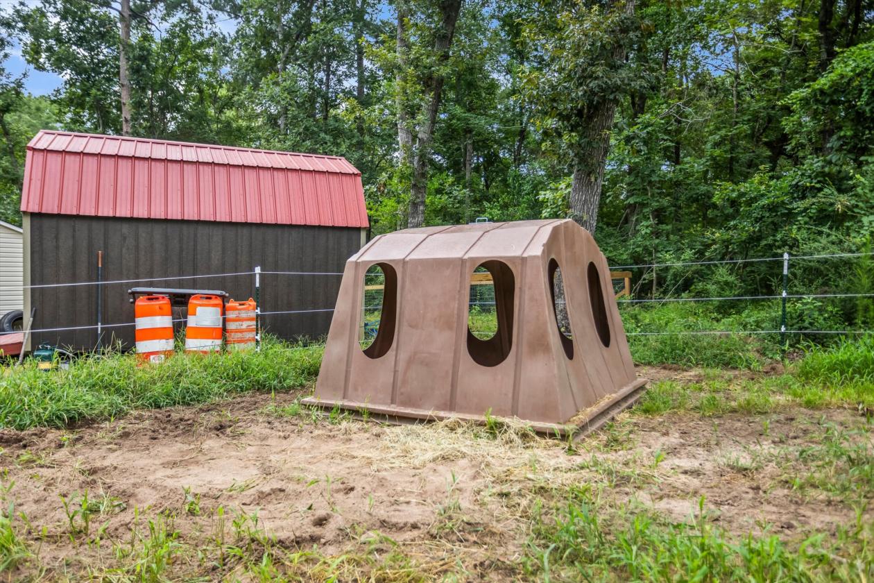 Mini-Farm Close to Downtown Aiken - photo 22