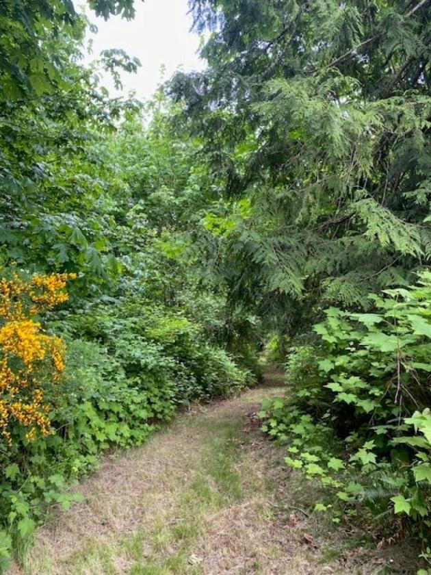 PNW Acreage with trails for Equestrians! - photo 25