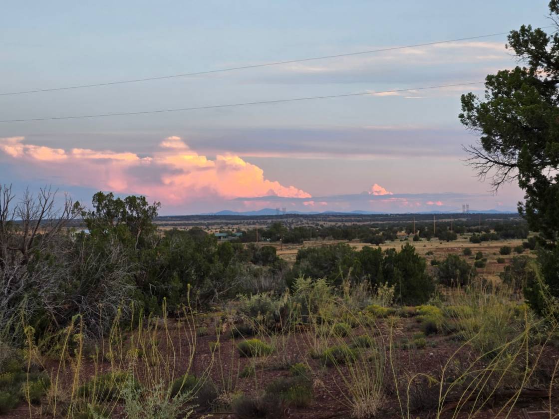 Horse Property for sale.