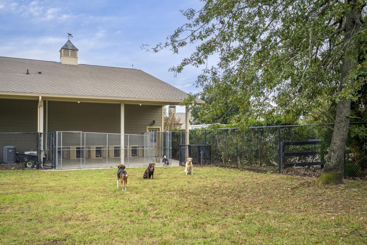 Equestrian Estate with Koi Sanctuary - photo 25