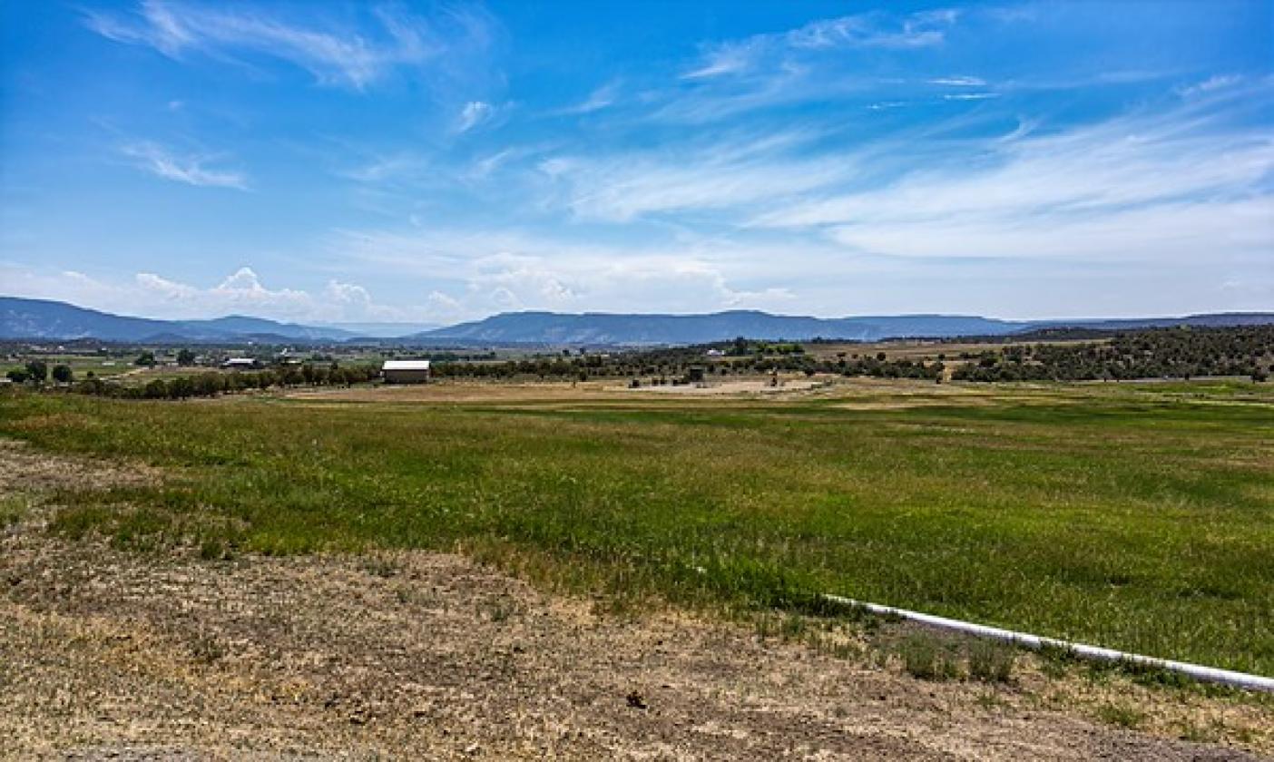 Picturesque 80-acre ranch! - photo 19
