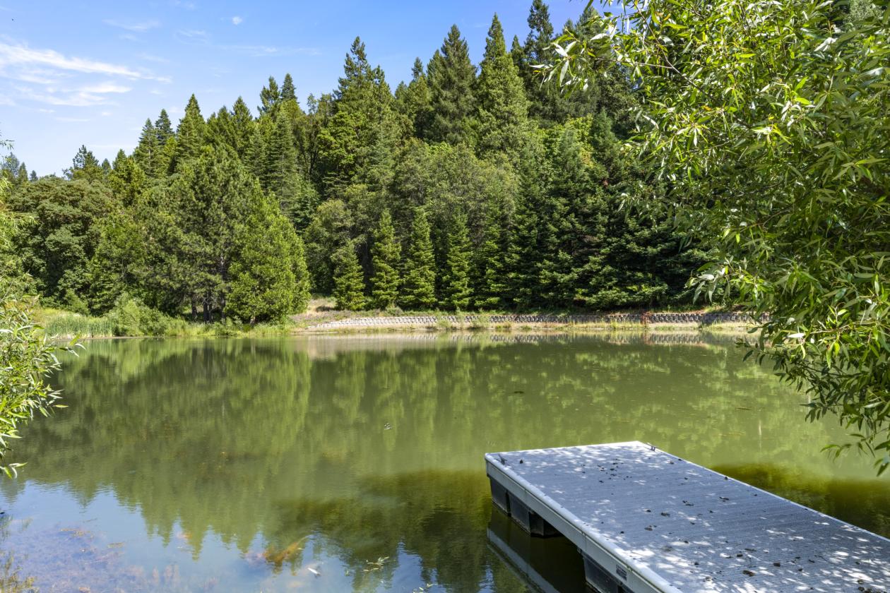 Beautiful Apple Hill Property - photo 30