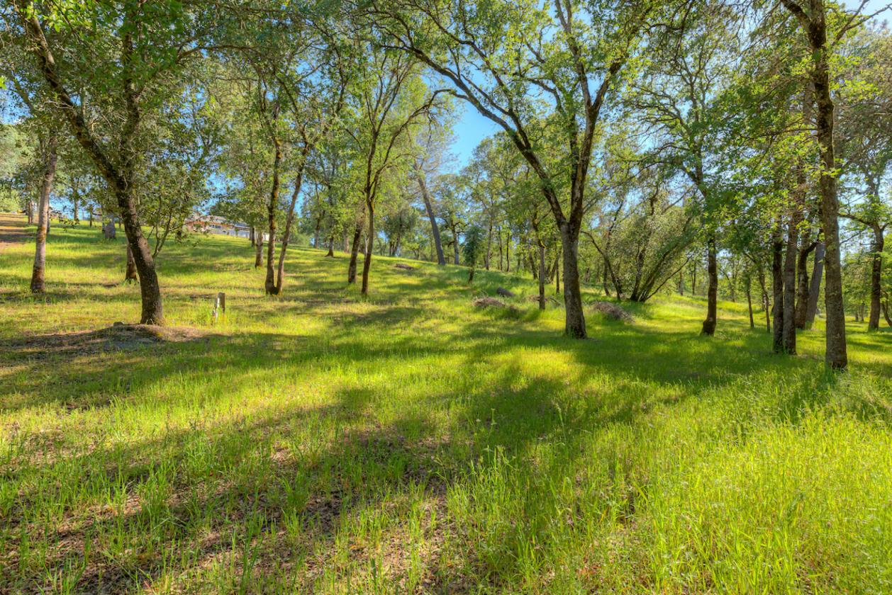 Oh, the POSSIBILITIES!! 5.31 Acres! - photo 23