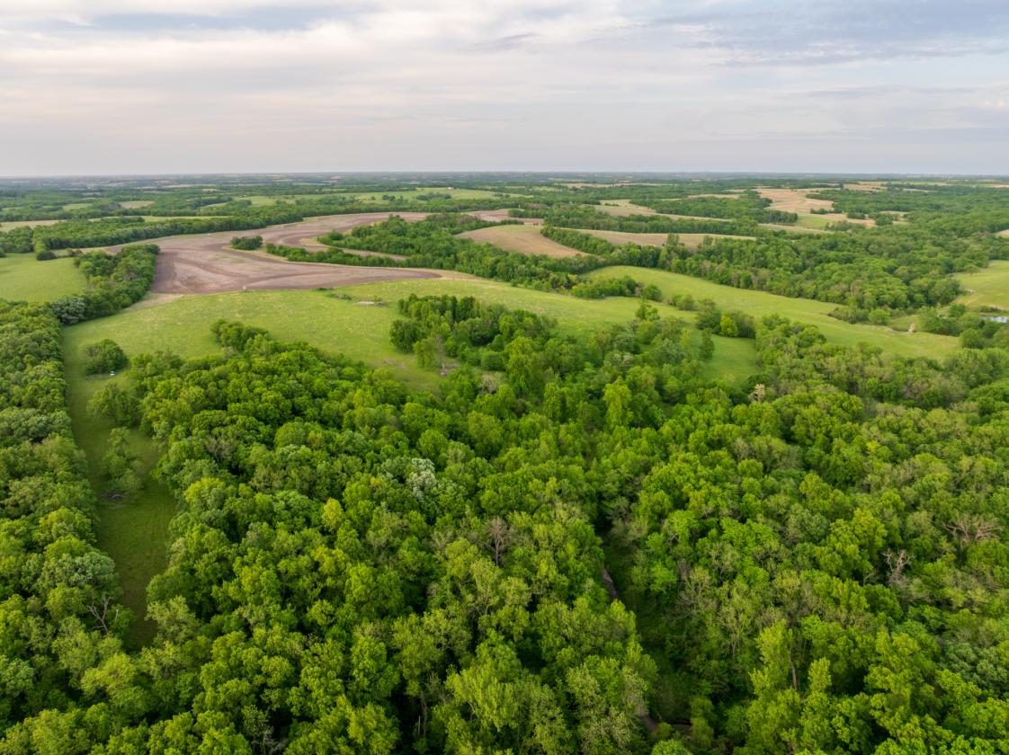 273.5 +/- Acre Turn-Key Cattle and Horse Property - photo 13